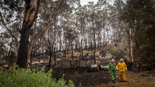 Ray Place and Alex Silton inspect the devastation at Separation Creek.