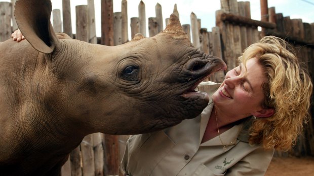African black rhinoceros, as well as humans, may be on the mass extinction list.