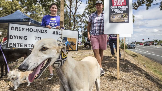 Animal rights activists protested the proposed track for about five years.