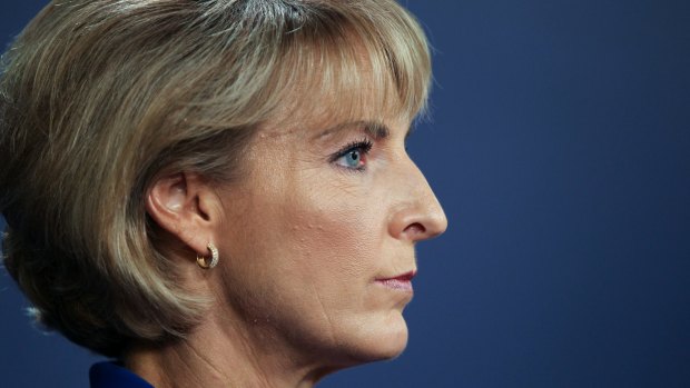 Minister for Women and Employment Michaelia Cash was a big winner in Malcolm Turnbull's new-look cabinet.