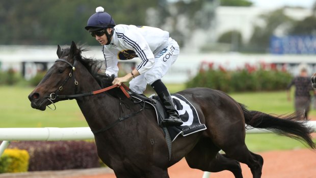 Hot form: Jason Collett and Yankee Rose can take a big step towards the Golden Slipper on Saturday.