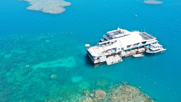 The Reef Magic pontoon, 40 kilometres offshore from Cairns.