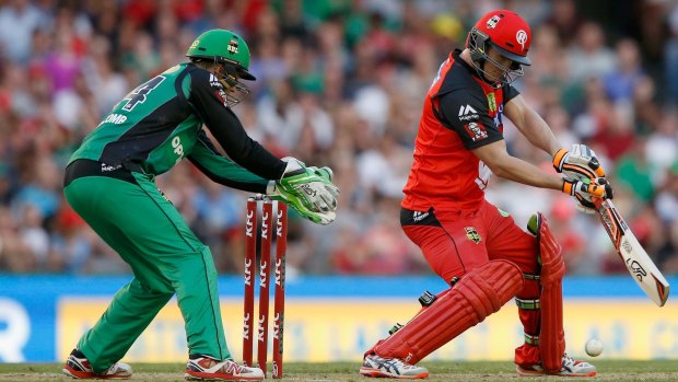 Sunday's BBL Melbourne derby could attract a bigger crowd than last year's record mark of 80,883.