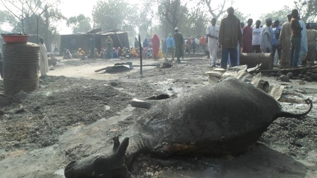 Villagers survey the damage, including the remains of dead animals left in the wake of the Boko Haram massacre.