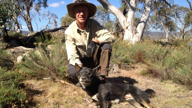 Glen Dixon with the cunning old dog that took five years to trap in Kosciuszko National Park.