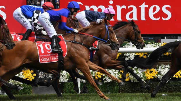 Kathy O'Hara says Single Gaze could return to the Melbourne Cup next year.