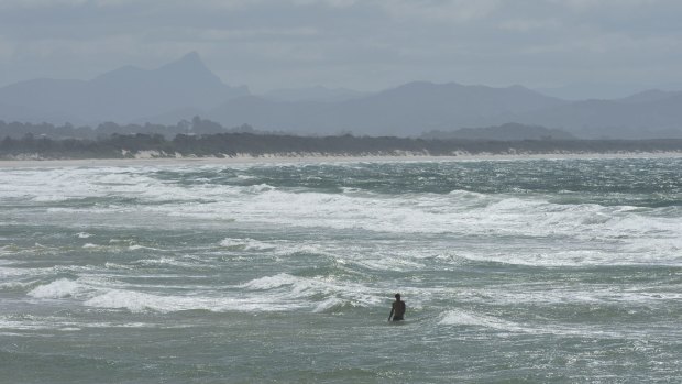 A swimmer is seen near Clarkes Beach at Byron Bay, one day after Paul Wilcox was killed by a shark while swimming at the beach.