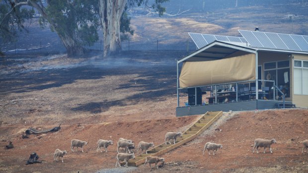 A home remains at One Tree Hill after the fire raged through the area. 