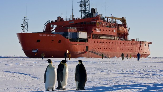 Australia's Aurora Australis at work in the Antarctic.