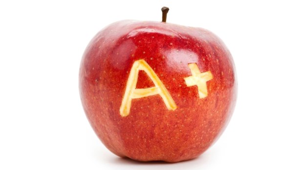 Take a bite out of the ACT election education report card.