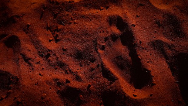 Painstaking research has revealed Aboriginals have lived in Australia for at least 65,000 years. 