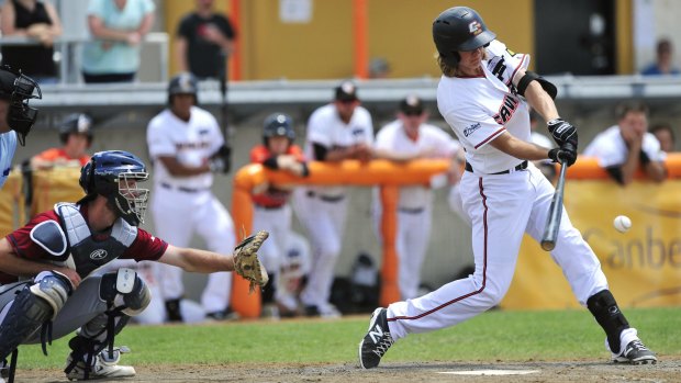 Canberra Cavalry catcher Robbie Perkins has been called into the Australian squad for the WBC qualifiers in Sydney next week.