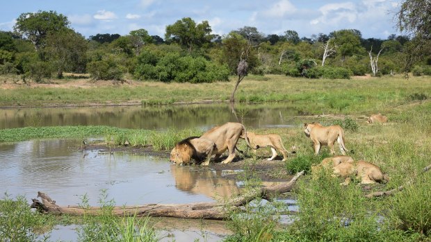 Thornybush nature reserve.