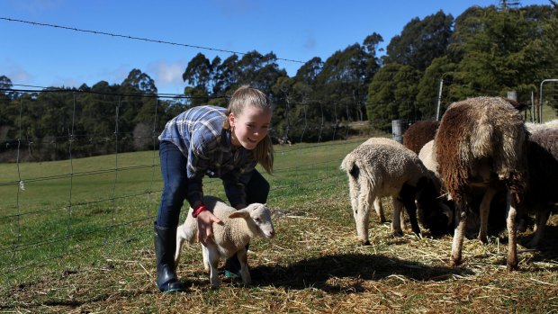 Spring is sprung: Ivy Hayes with a spring lamb in the southern highlands.