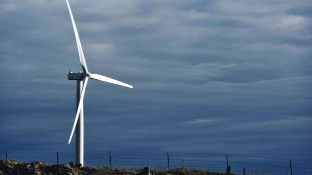 A wind turbine stands at the Capital Wind Farm, operated by Infigen Energy, in Bungendore, New South Wales. A wind farm commissioner will be established to resolve complaints from concerned residents living near wind turbines.
