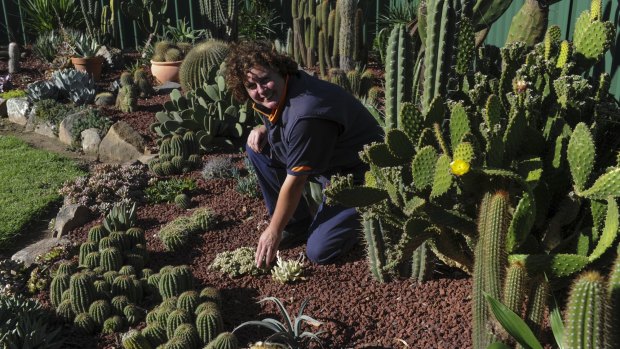 Jackie Warburton in her cactus garden at her home in Oxley. 