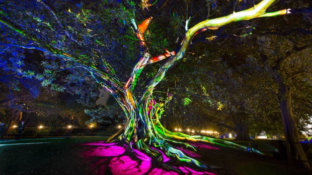 The Royal Botanic Garden plays host to Vivid Sydney 2016.
