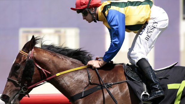 Jockey Richard Bensley guides Miss Liffey to an easy win at Thoroughbred Park.