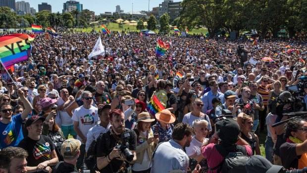 A large crowd gathered at Prince Alfred Park to hear the result. 