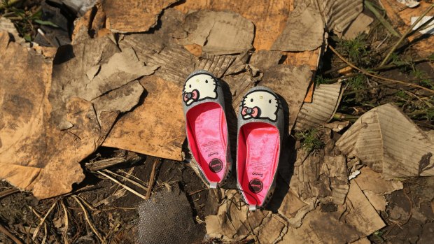 A pair of shoes lay at the MH17 crash site.