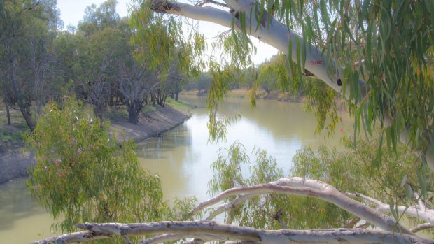 The Darling River, near Bourke.