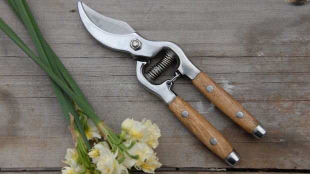 Secateurs with ash handles, $45. Heaven In Earth.