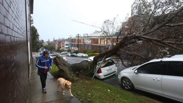 Out of action: Storms made getting to work difficult for Sydneysiders on Tuesday.
