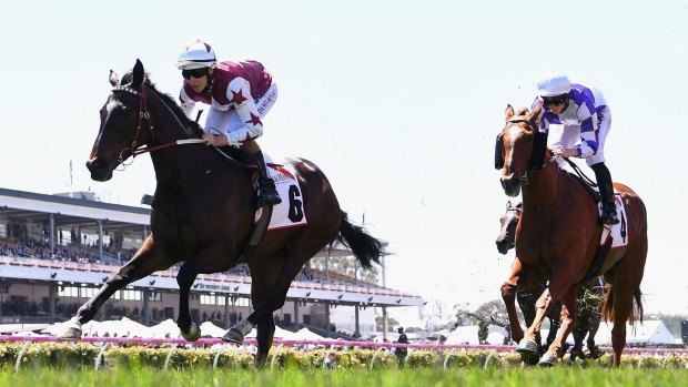 Damian Lane rides Tiamo Grace to win race two, the Mumm Wakeful Stakes on Derby Day at Flemington Racecourse on October 29, 2016.