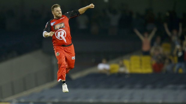 Aaron Finch of the Melbourne Renegades celebrates the run out of Adam Voges on Thursday night.