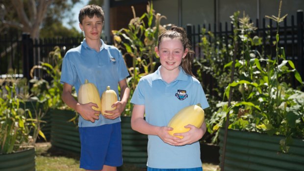 Lilly Harrison, 10, and Armand Rood, 11, in the veggie garden at Mawson Primary School.  