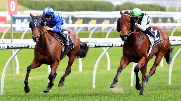 Weighty expectations: Broadside (left) wins at Randwick in October.