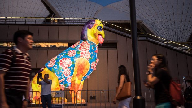 Song Ling's Dog lantern outside the Sydney Opera House for Chinese New Year.