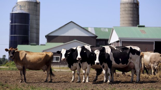 The US has withdrawn an offer it had made to Australia in 2014 on dairy access.