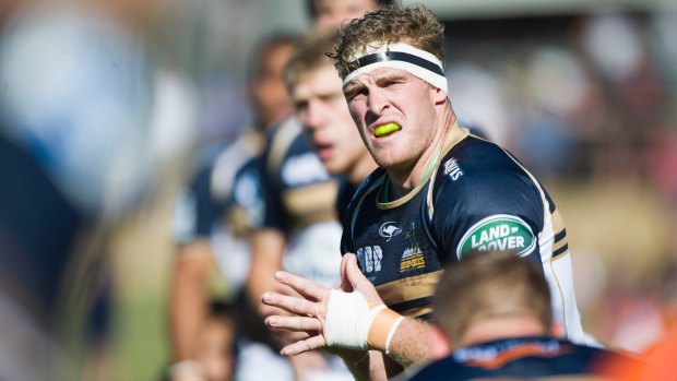 Canberra Vikings skipper Tom Cusack is making a case for the Brumbies starting XV next season with his stellar NRC form.