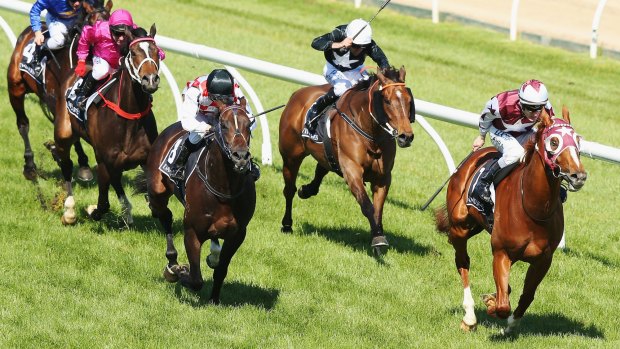 On target: Mark Zahra rides Stratum Star to victory in the David Jones Cup at Caulfield.