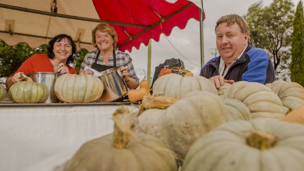 The Collector Pumpkin Festival is on again this Sunday.