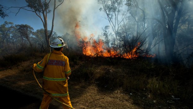 Outlook points to a busy fire season for many regions.