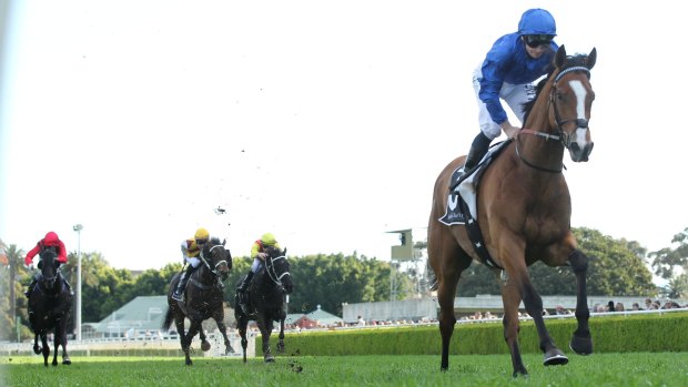 Hartnell could deliver John O'Shea his first group 1 winner in Melbourne in the Turnbull Stakes.