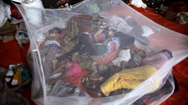 Ethnic Rohingya women and children sleep under a mosquito net at a temporary shelter in Langsa, Aceh province.