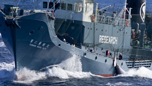 The Japanese whaling fleet operating in the Southern Ocean in 2013.
