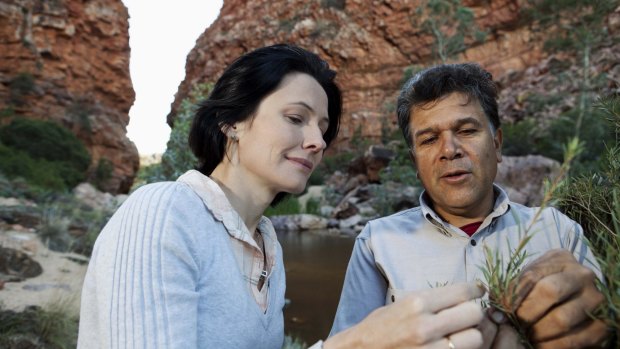 鲍勃·泰勒RT澳大利亚旅游。半岛sport官网下载2.4.1