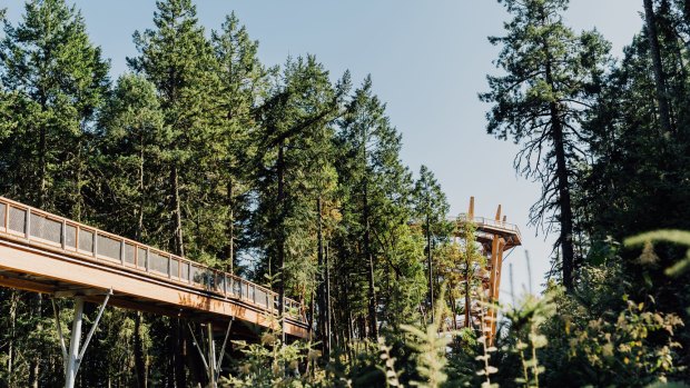 The 600-metre elevated walkway passes through Arbutus and Douglas Fir forest.