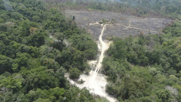 A part of the Amazon rainforest destroyed by loggers and farmers.