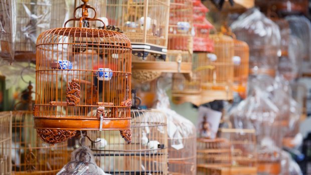 Bird cages for sale at Kowloon Market. 