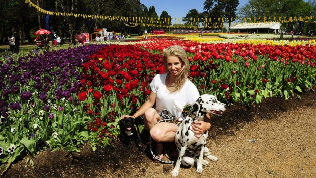 Chynna Marston of Crace with her dogs 10-month-old Tuffie McPuggles and Dollie the Dalmatian enjoy Floriade's Dogs Day Out.