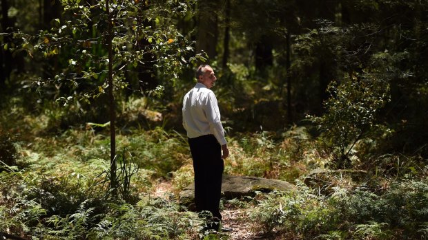 A detective from the Homicide Squad stands at a crime scene in the Royal National Park.