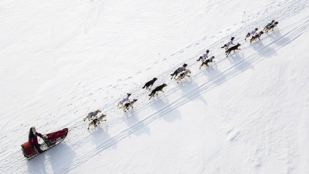 Aliy Zirkle and her pack leave a checkpoint in Nenana, Alaska, during the Iditarod.