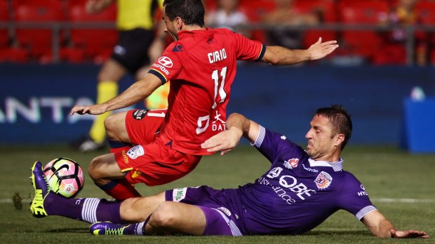 Dino Djulbic's defence was the difference in Glory's 2-0 finals win.