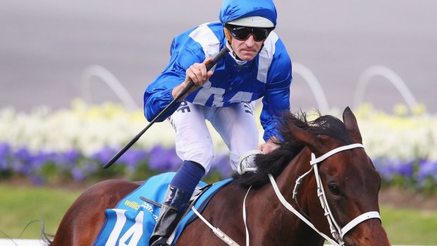 Hugh Bowman salutes after Winx won last year's Cox Plate.
