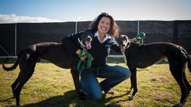 RSPCA ACT CEO Tammy Ven Dange doesn't know how many more surrendered greyhounds like Bolt and Lightening will need to be re-homed. 
